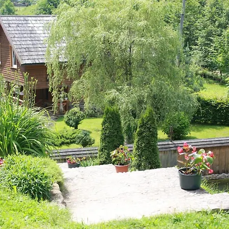 зелена валило Kossiw